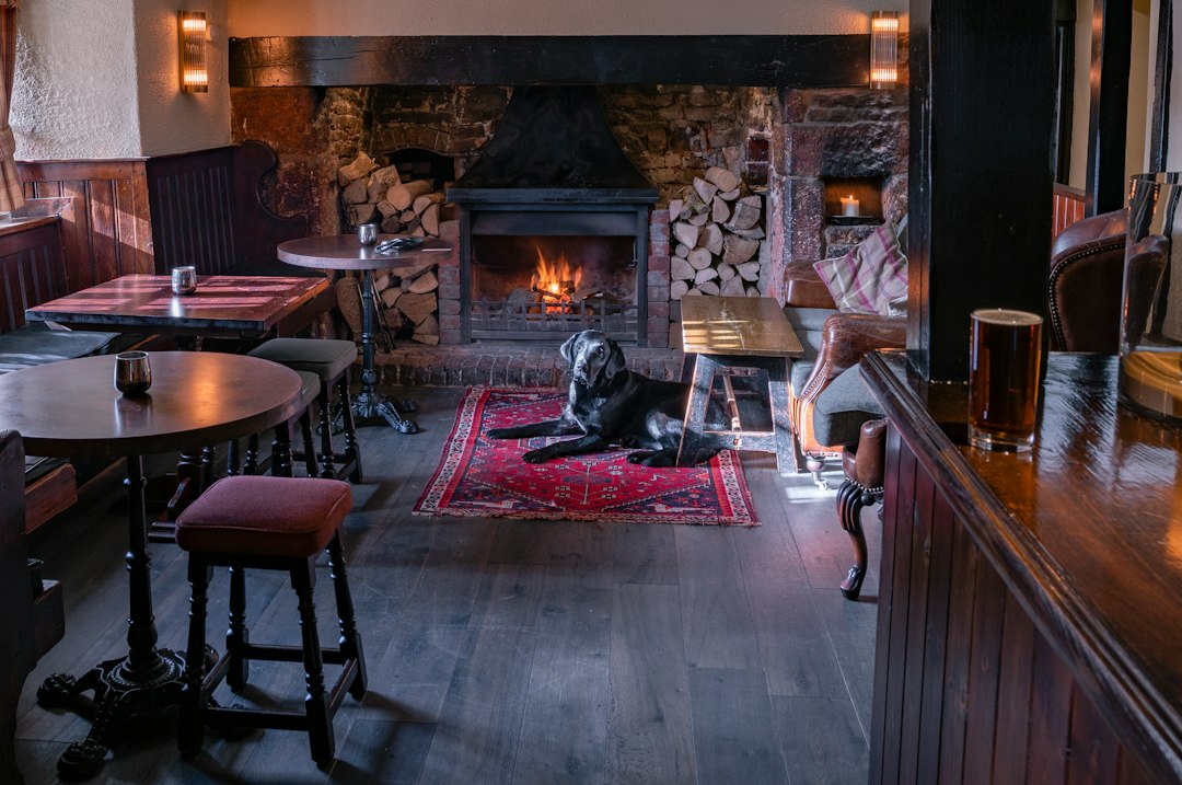 Dog resting near a warm fire in a traditional pub